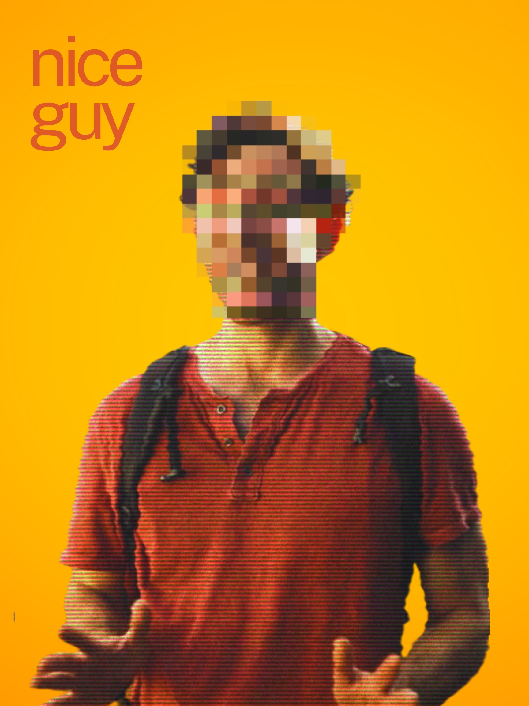 Nice Guy poster